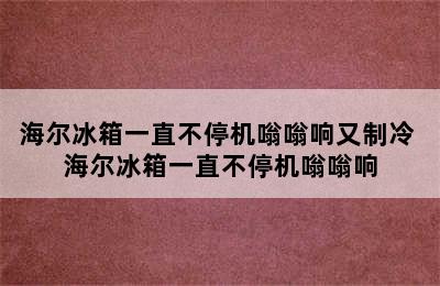 海尔冰箱一直不停机嗡嗡响又制冷 海尔冰箱一直不停机嗡嗡响